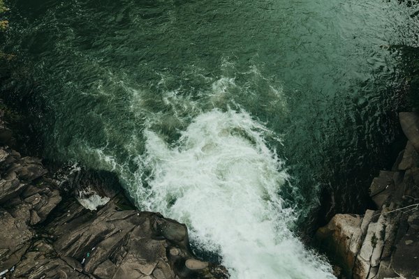 Est-il possible de louer une cabane dans les arbres en Scandinavie pour des vacances polaires?